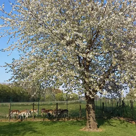 Natuurschoon Vakantiewoning * Moorsel