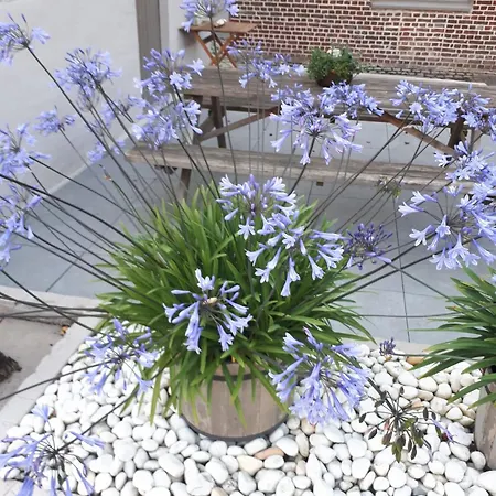 Σπίτι διακοπών Natuurschoon Vakantiewoning Moorsel