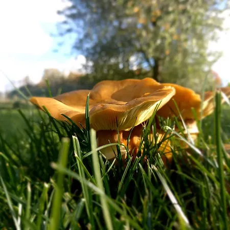 Natuurschoon Vakantiewoning *